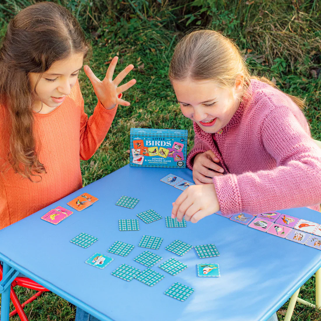 Birds Little Matching Game - Image 3