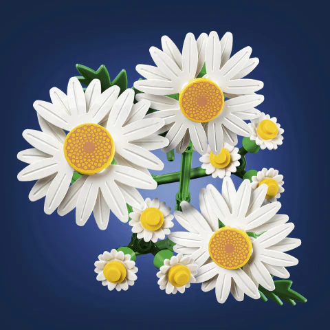Botanicals Daisies - Image 2