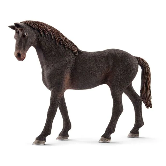 English Thoroughbred Stallion