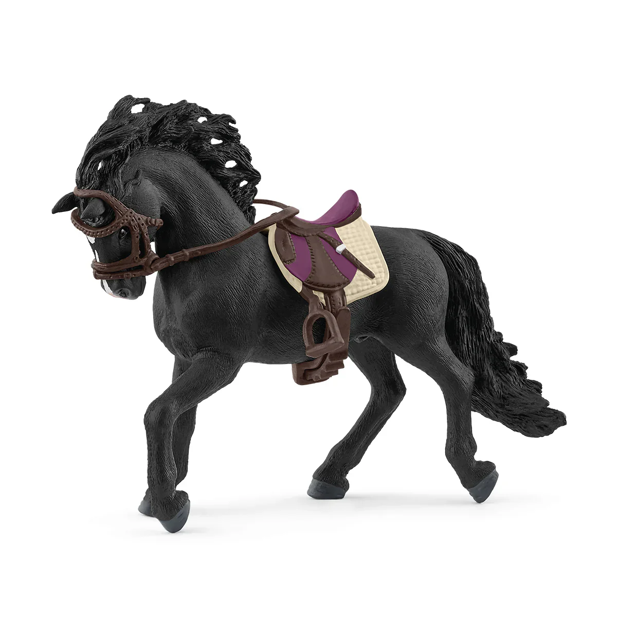 Pura Raza Espanola Stallion With Saddle And Bridle